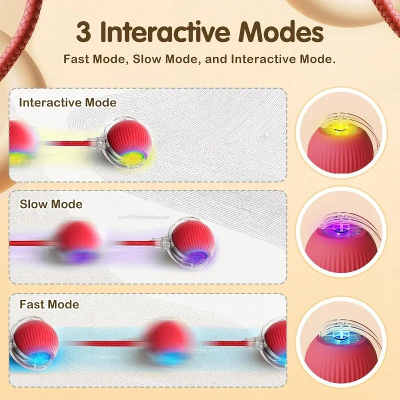 Cat / Small Dog Interactive Ball