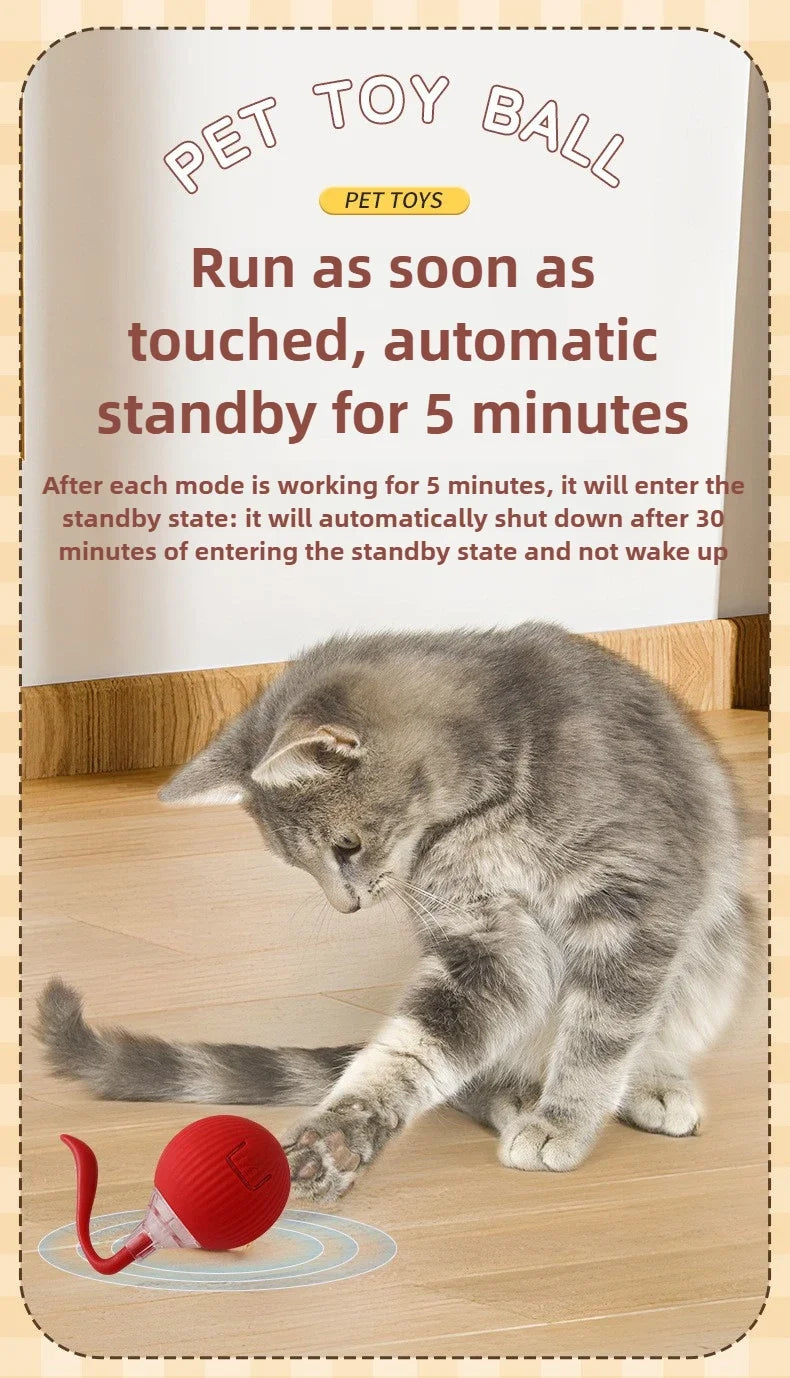 Cat / Small Dog Interactive Ball