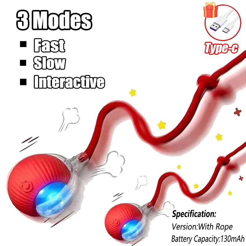 Cat / Small Dog Interactive Ball