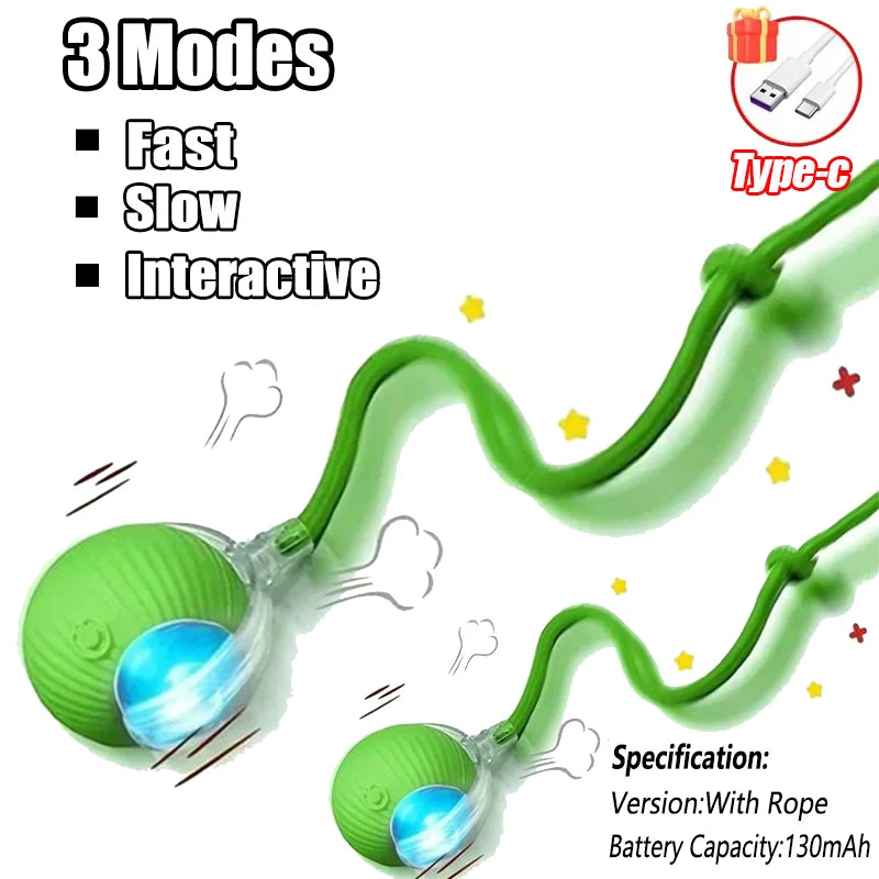 Cat / Small Dog Interactive Ball