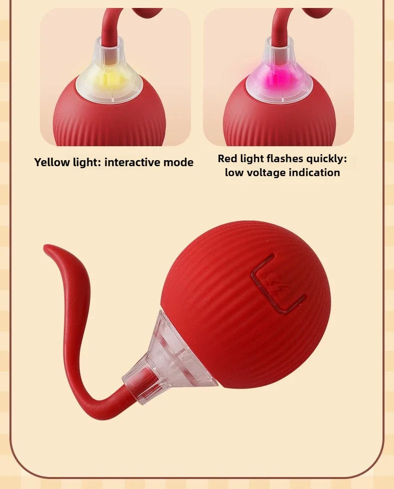 Cat / Small Dog Interactive Ball