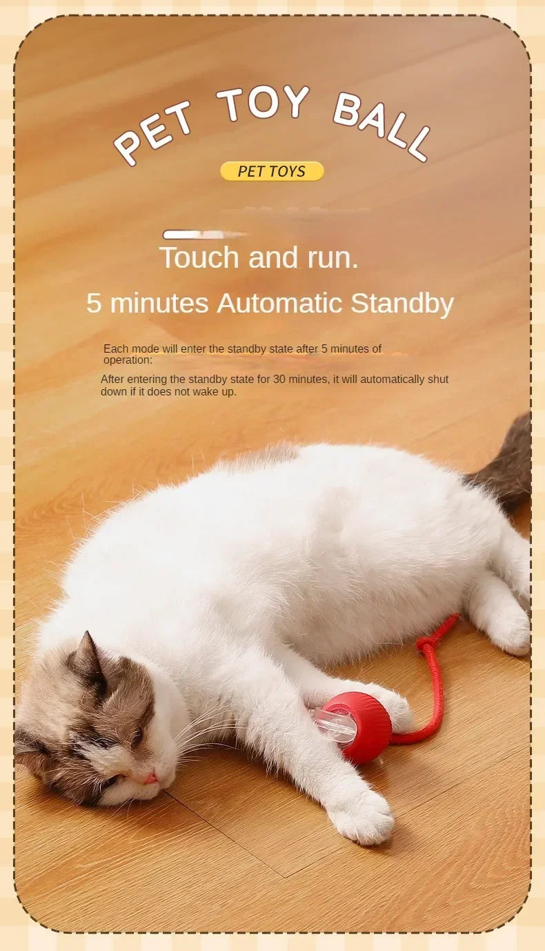 Cat / Small Dog Interactive Ball