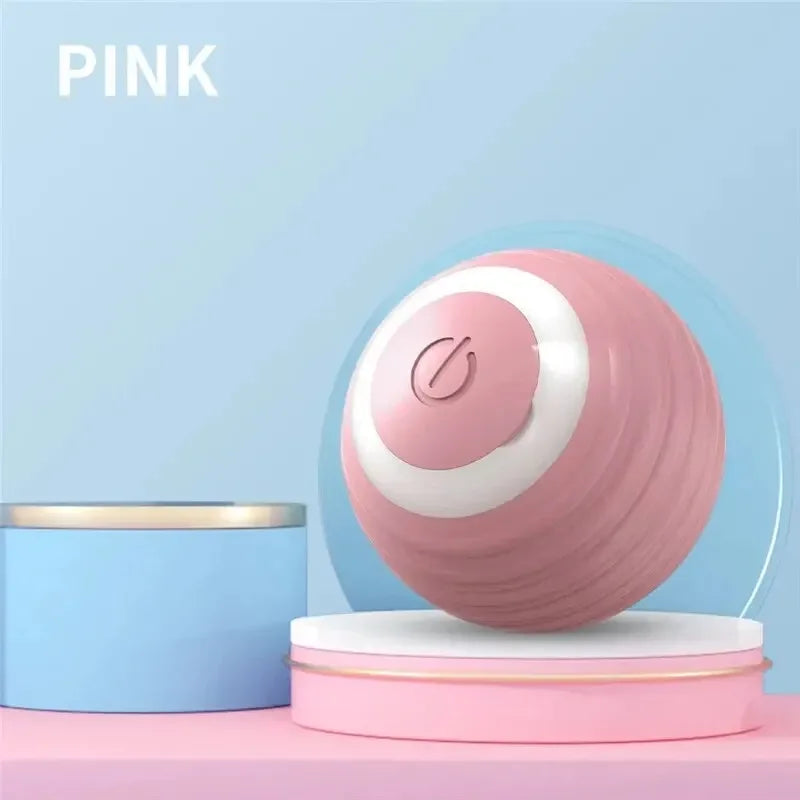 Cat / Small Dog Interactive Ball