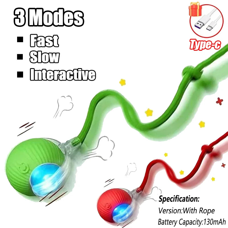 Cat / Small Dog Interactive Ball