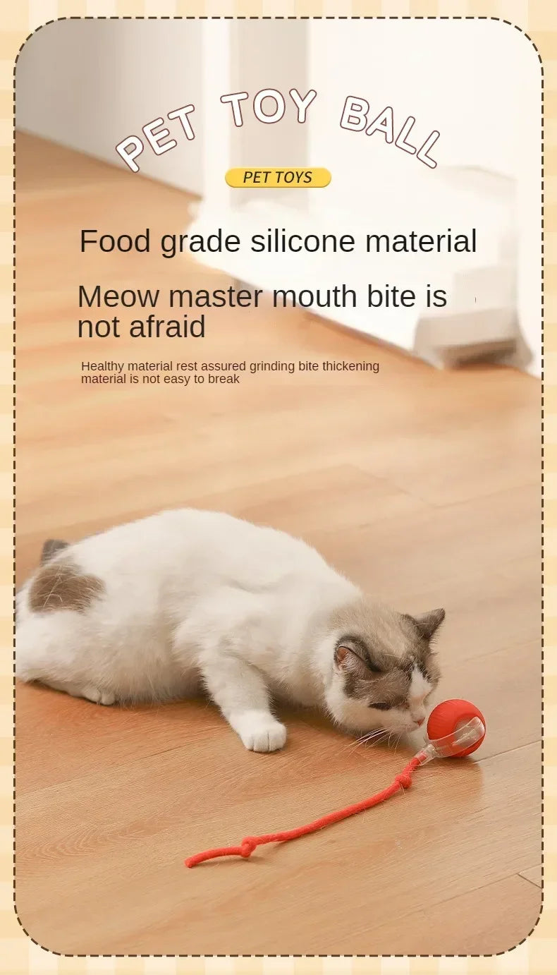 Cat / Small Dog Interactive Ball