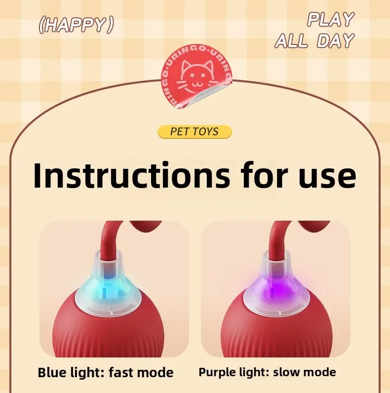 Cat / Small Dog Interactive Ball