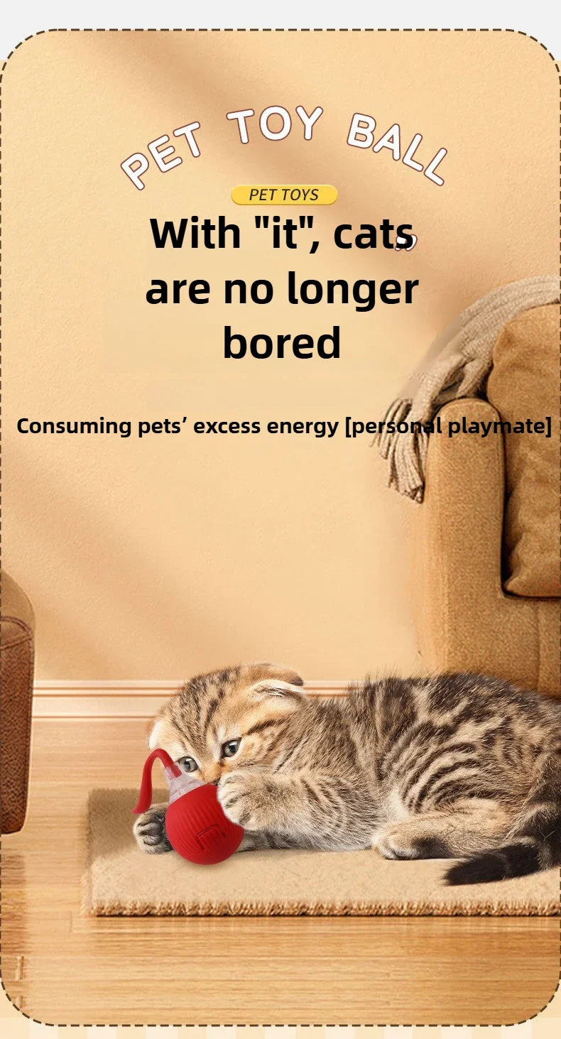 Cat / Small Dog Interactive Ball