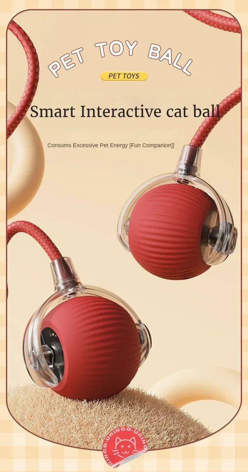Cat / Small Dog Interactive Ball