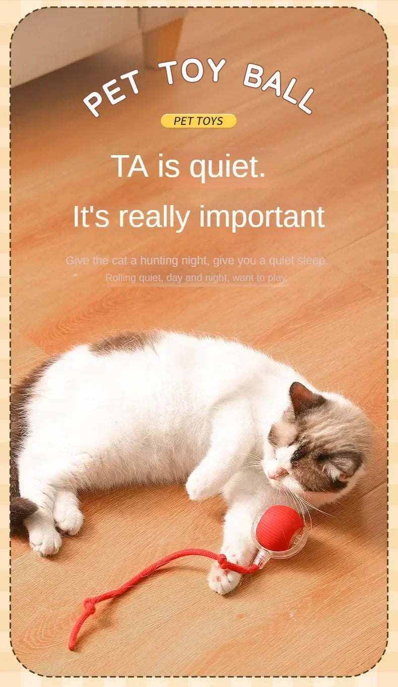 Cat / Small Dog Interactive Ball