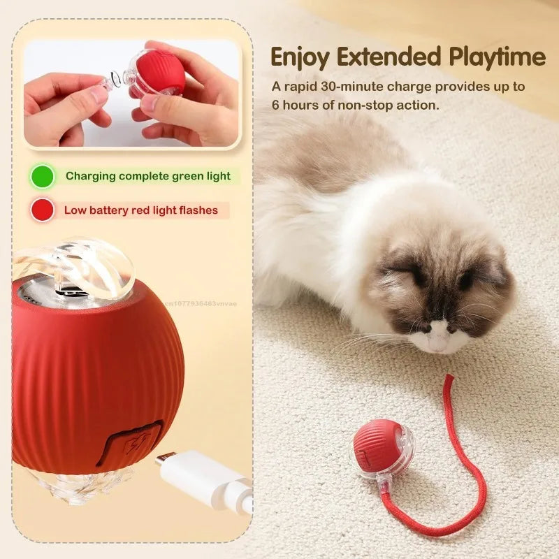 Cat / Small Dog Interactive Ball