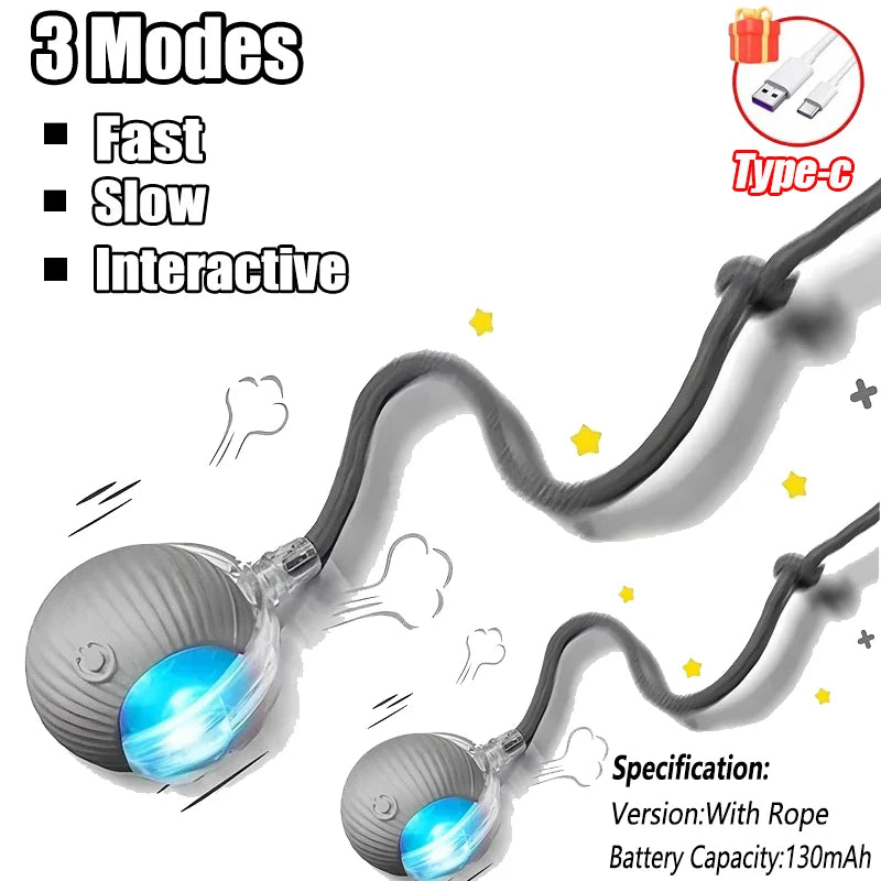 Cat / Small Dog Interactive Ball