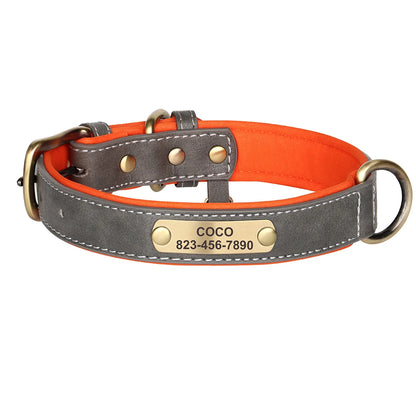 Personalized Engraved Pet Collar – Stylish, Safe & Custom Made