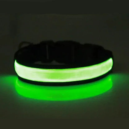 LED Safety Pet Collar