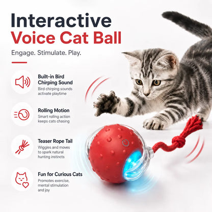 Interactive Ball Toy Cat/Dog