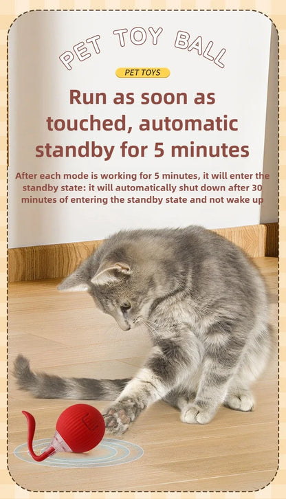 Cat / Small Dog Interactive Ball