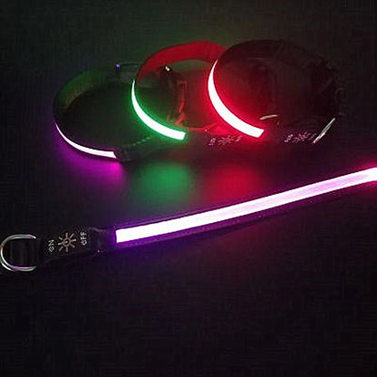LED Safety Pet Collar