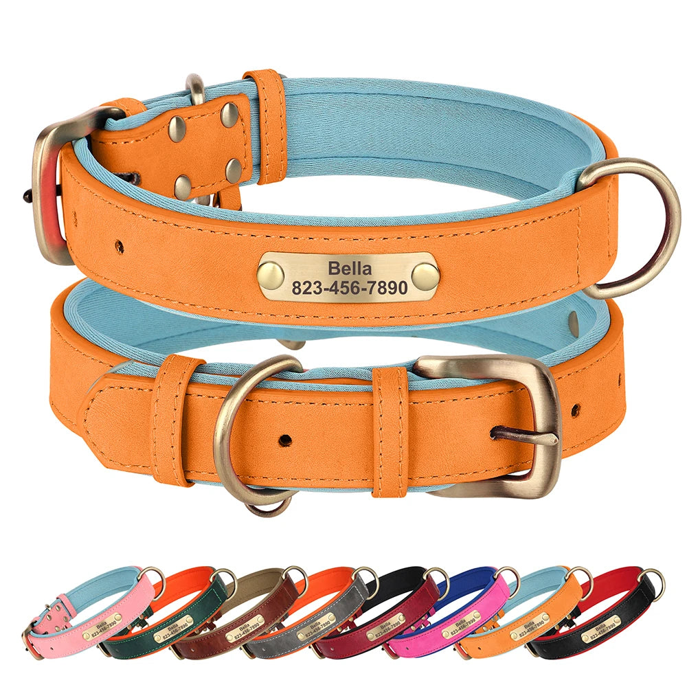 Personalized Engraved Pet Collar – Stylish, Safe & Custom Made
