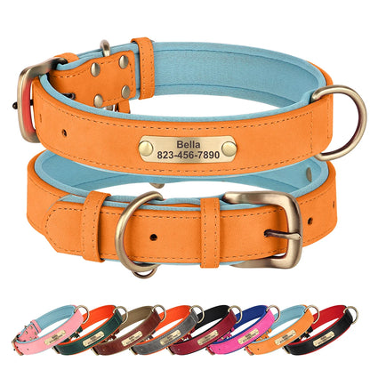 Personalized Engraved Pet Collar – Stylish, Safe & Custom Made