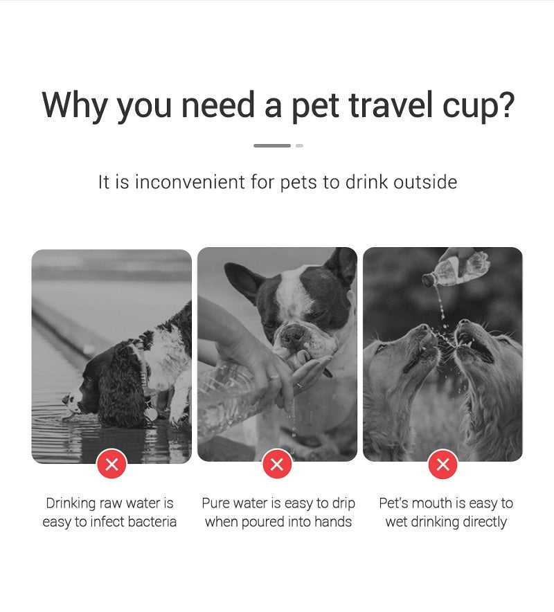 Pet Portable Water Bottle for Small/Large Dogs