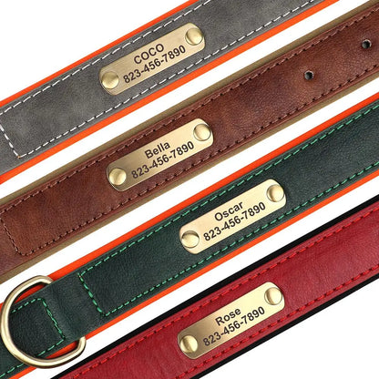 Personalized Engraved Pet Collar – Stylish, Safe & Custom Made