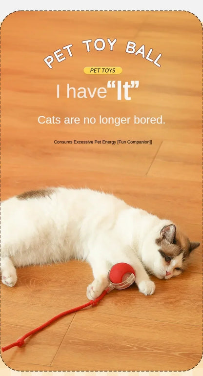 Cat / Small Dog Interactive Ball