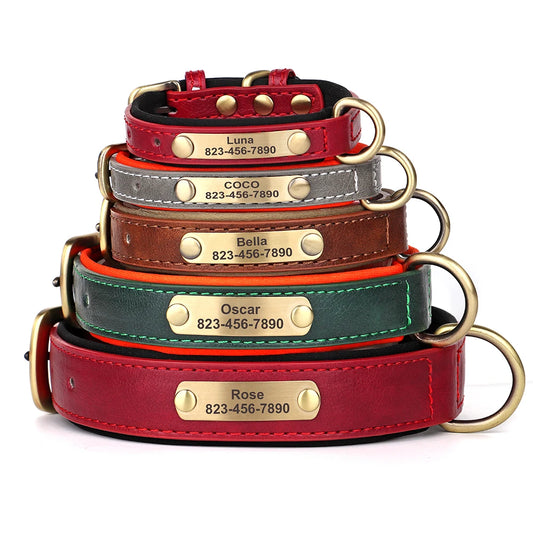 Personalized Engraved Pet Collar – Stylish, Safe & Custom Made