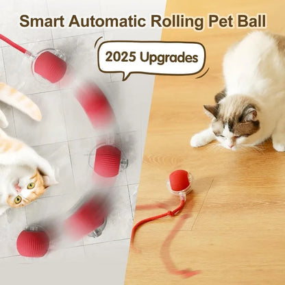 Cat / Small Dog Interactive Ball