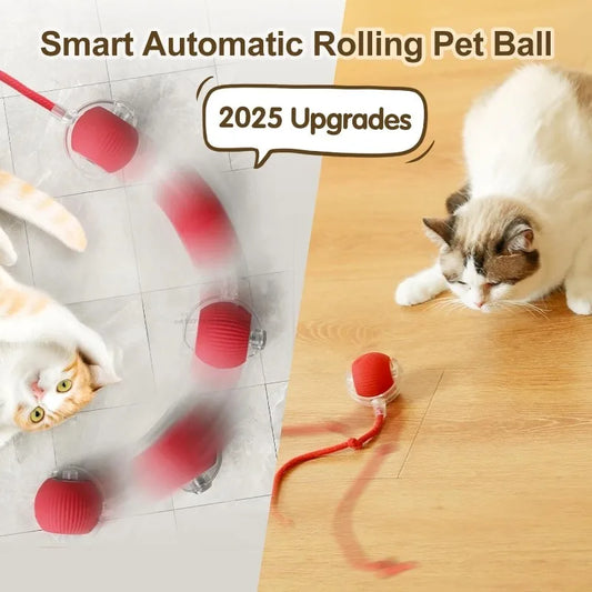 Cat / Small Dog Interactive Ball