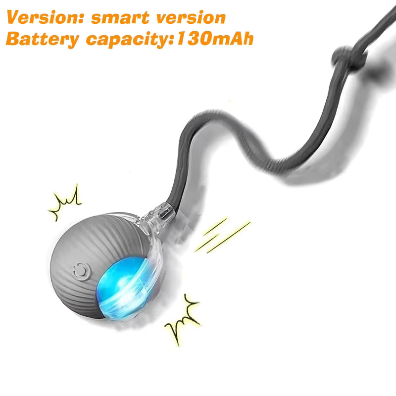 Interactive Ball Toy Cat/Dog