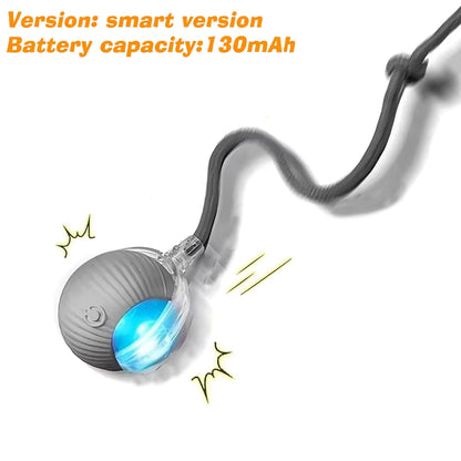 Interactive Ball Toy Cat/Dog