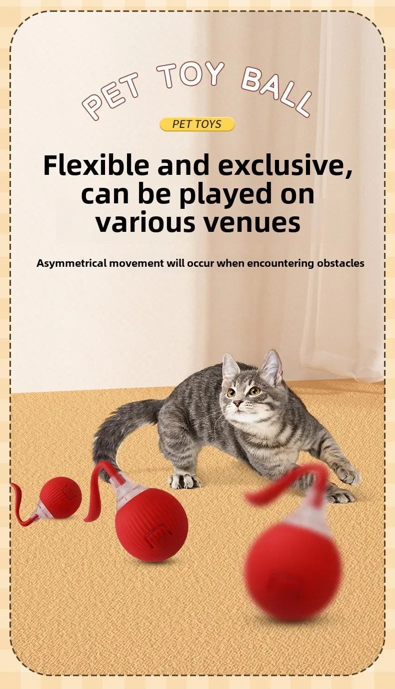 Cat / Small Dog Interactive Ball
