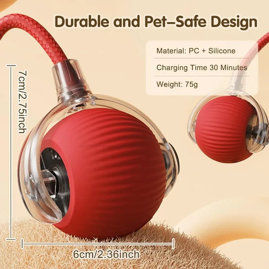 Cat / Small Dog Interactive Ball