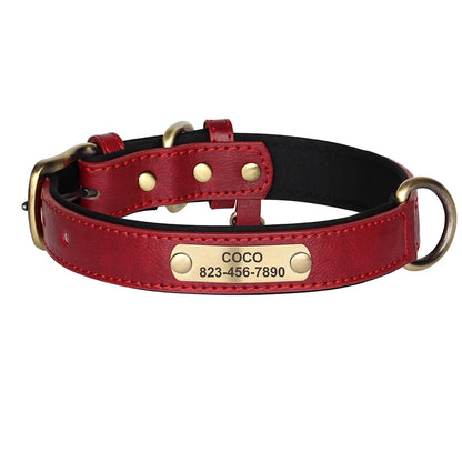Personalized Engraved Pet Collar – Stylish, Safe & Custom Made