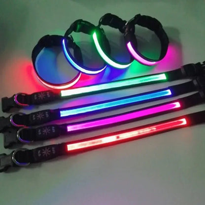 LED Safety Pet Collar