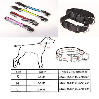 LED Safety Pet Collar