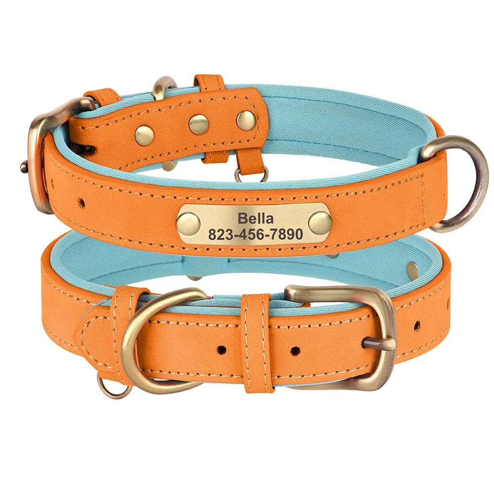Personalized Engraved Pet Collar – Stylish, Safe & Custom Made