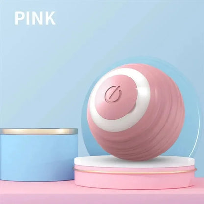 Cat / Small Dog Interactive Ball