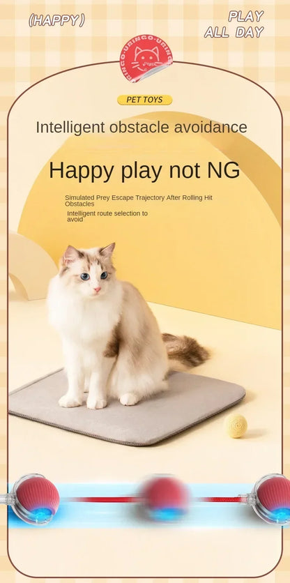 Cat / Small Dog Interactive Ball