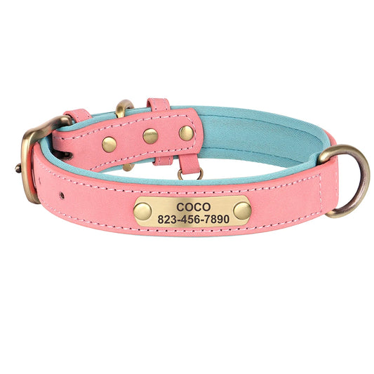 Personalized Engraved Pet Collar – Stylish, Safe & Custom Made