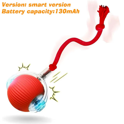 Interactive Ball Toy Cat/Dog