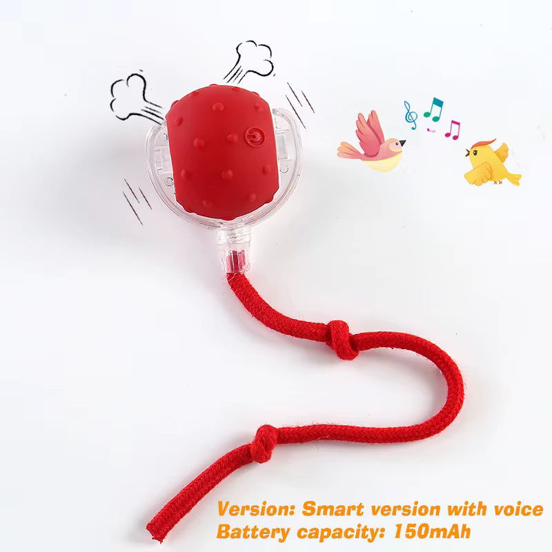 Interactive Ball Toy Cat/Dog