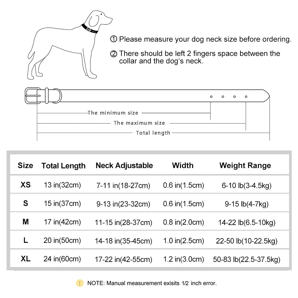 Personalized Engraved Pet Collar – Stylish, Safe & Custom Made