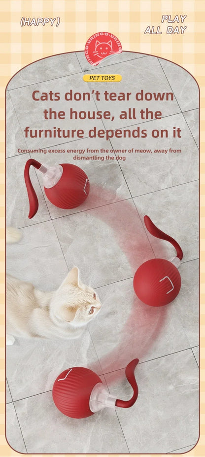 Cat / Small Dog Interactive Ball