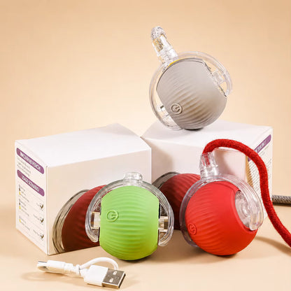 Interactive Ball Toy Cat/Dog