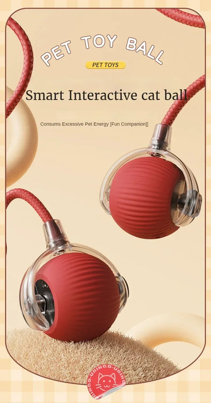Cat / Small Dog Interactive Ball
