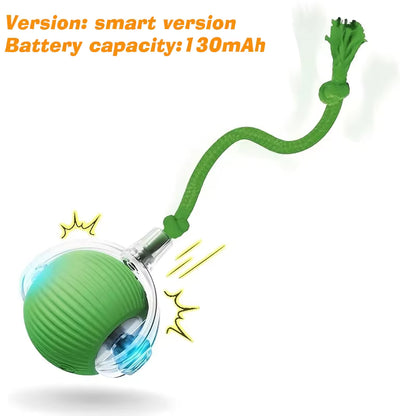Interactive Ball Toy Cat/Dog