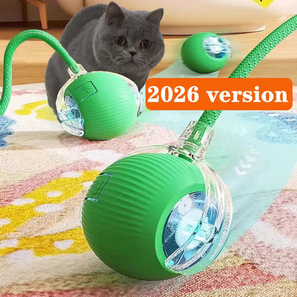 Interactive Ball Toy Cat/Dog
