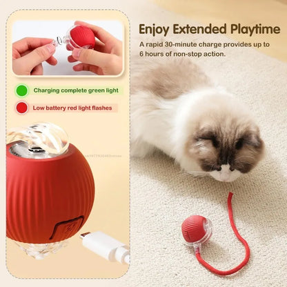 Cat / Small Dog Interactive Ball
