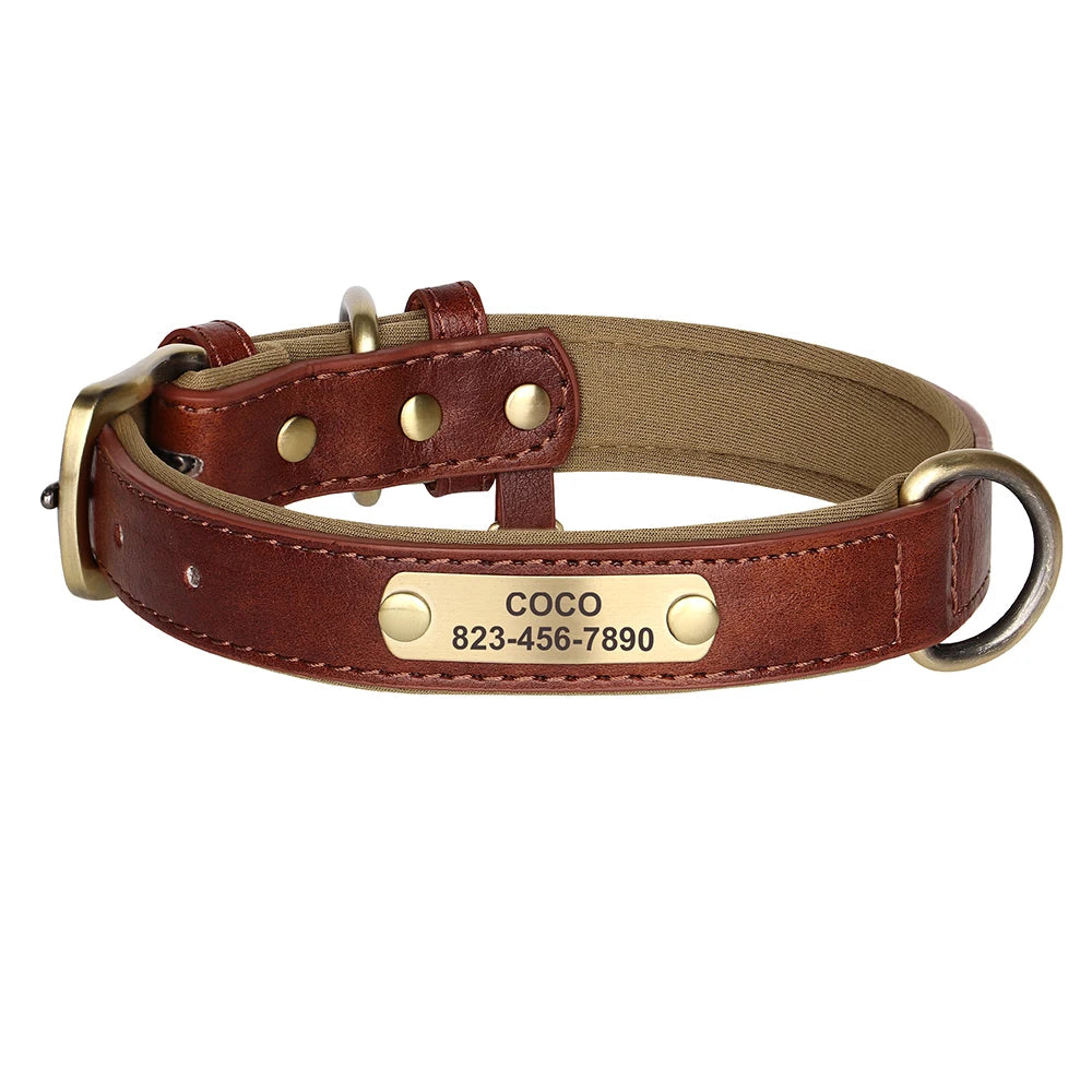 Personalized Engraved Pet Collar – Stylish, Safe & Custom Made