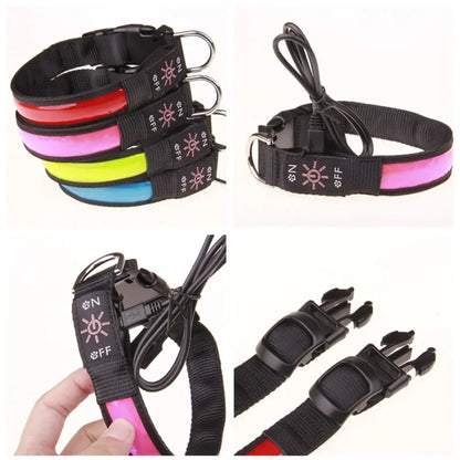 LED Safety Pet Collar